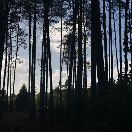 Forest Heath Shepherd'S Huts Рингвуд Екстер'єр фото