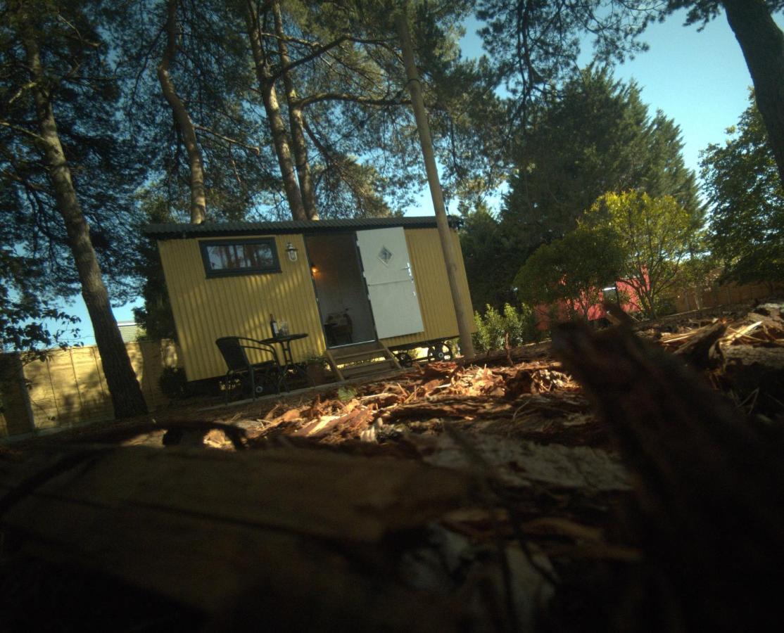Forest Heath Shepherd'S Huts Рингвуд Екстер'єр фото