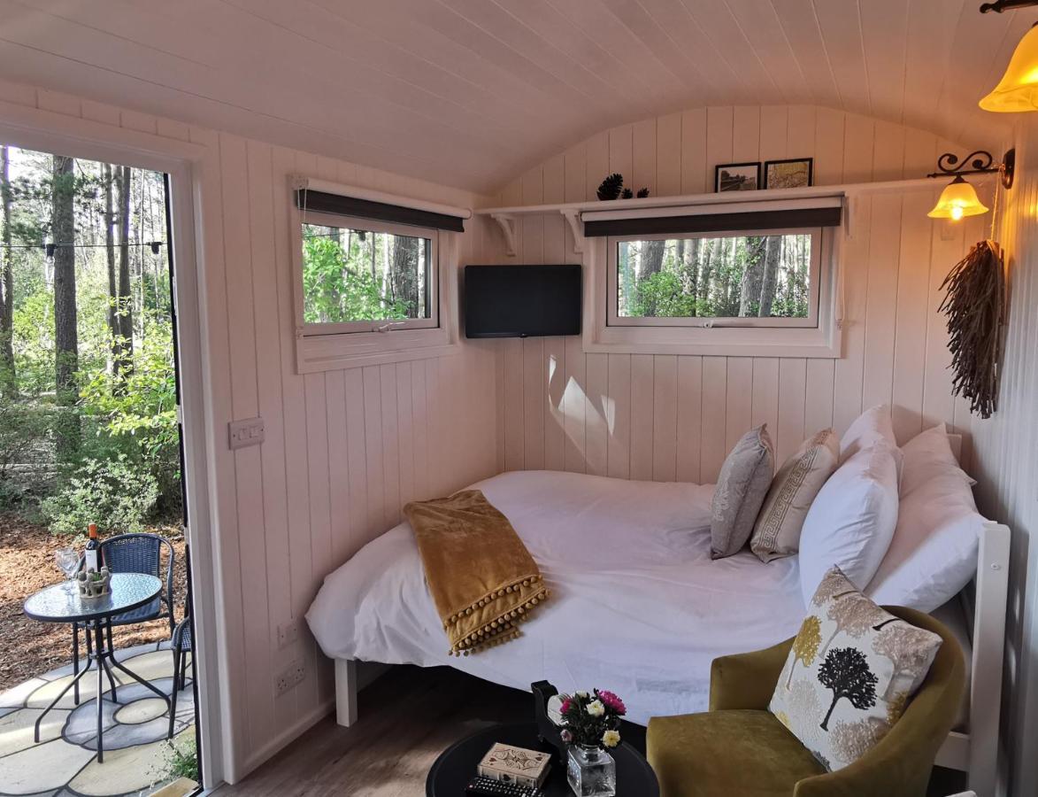 Forest Heath Shepherd'S Huts Рингвуд Екстер'єр фото