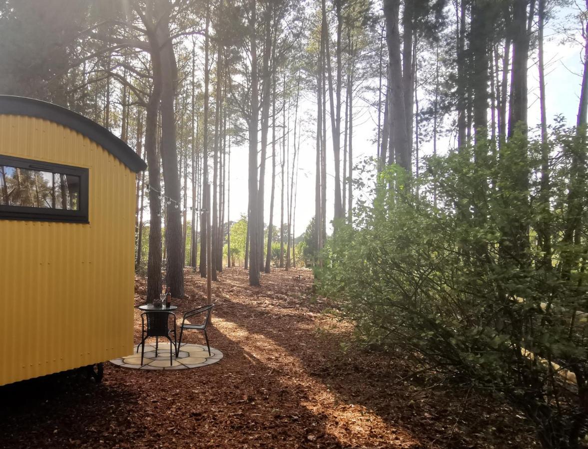 Forest Heath Shepherd'S Huts Рингвуд Екстер'єр фото