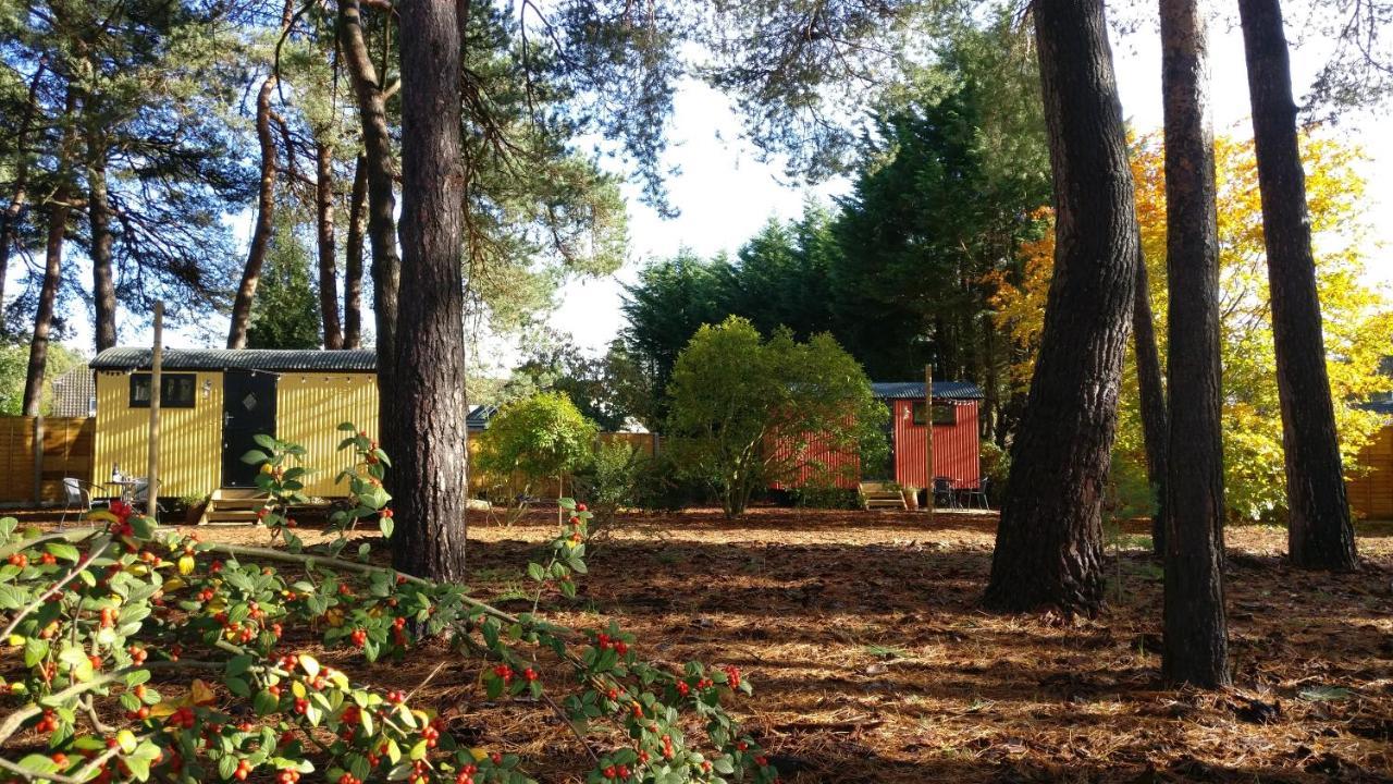 Forest Heath Shepherd'S Huts Рингвуд Екстер'єр фото