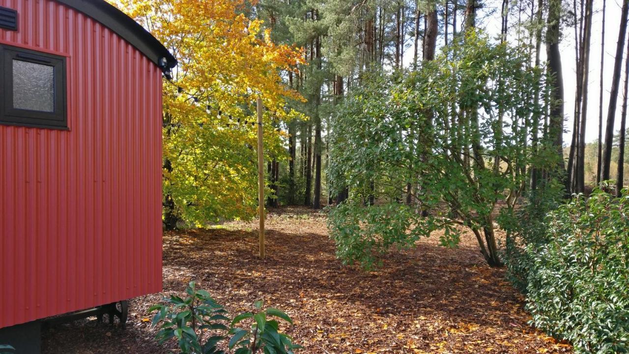 Forest Heath Shepherd'S Huts Рингвуд Екстер'єр фото