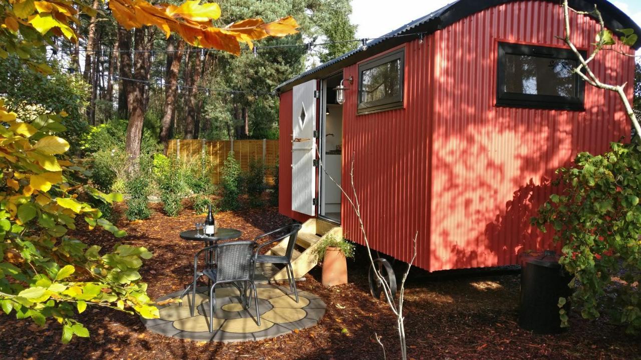Forest Heath Shepherd'S Huts Рингвуд Екстер'єр фото