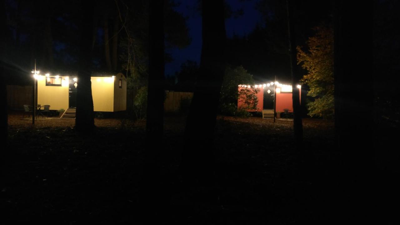 Forest Heath Shepherd'S Huts Рингвуд Екстер'єр фото